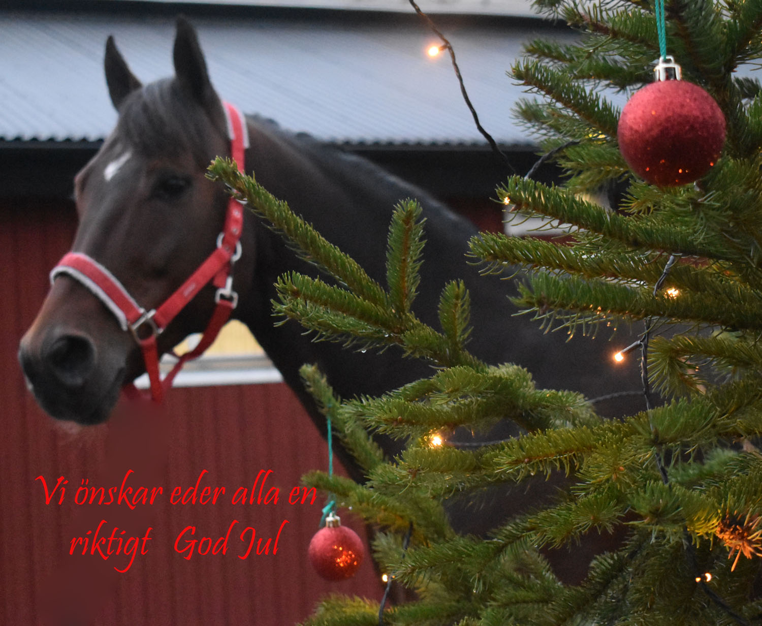 god jul